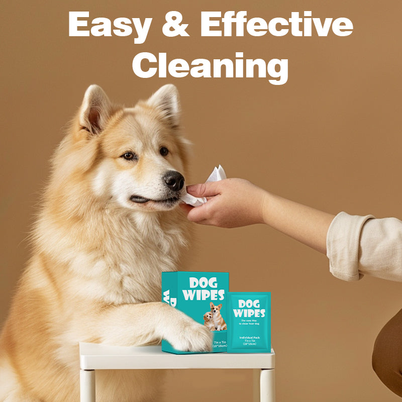 Multi-Purpose Pet Wipes for Dogs & Cats – 10 Individually Packed 7x7in Wipes, Deep Cleansing & Nourishing for Anytime, Anywhere Use