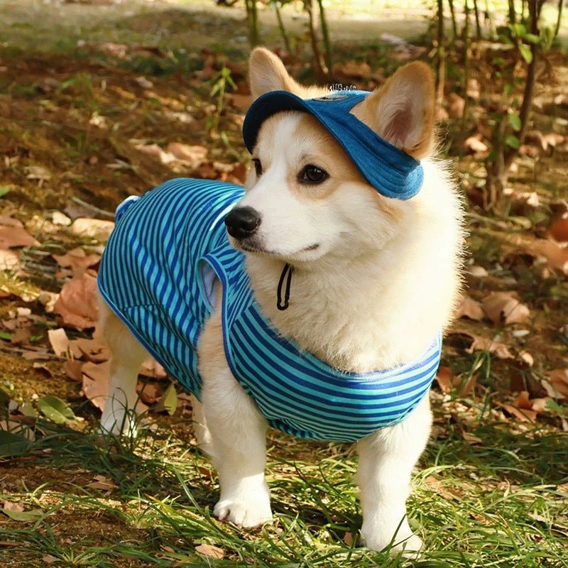 Pet Hats Expose Ears For Sun Protection
