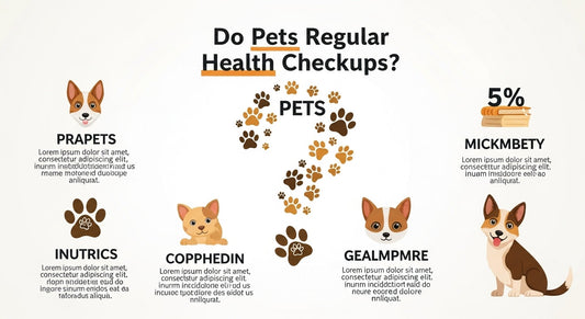 Do Pets Need Regular Health Checkups?