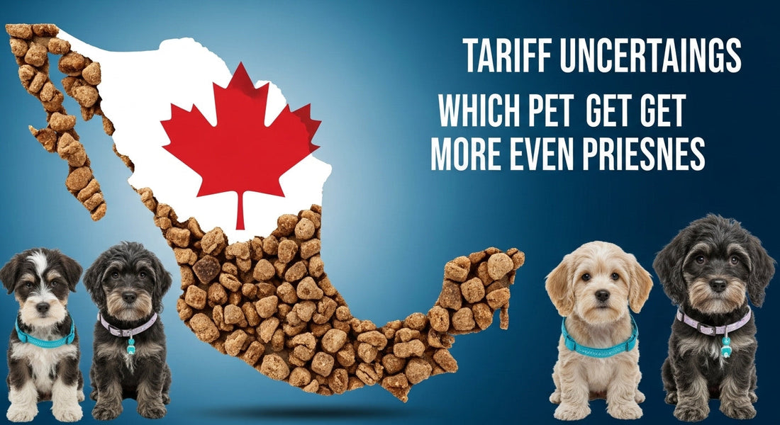 Canada and Mexico Tariff Uncertainty: Which Pet Products Could Get Even More Expensive?