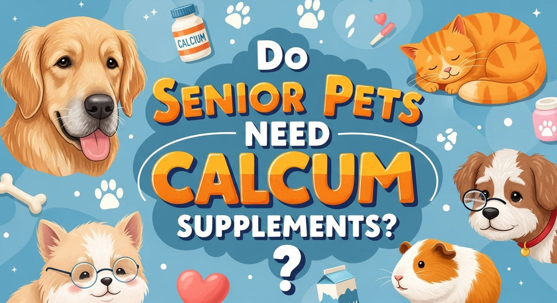 Do Senior Pets Need Calcium Supplements?