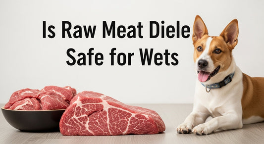 Is Raw Meat Diet Safe for Pets?