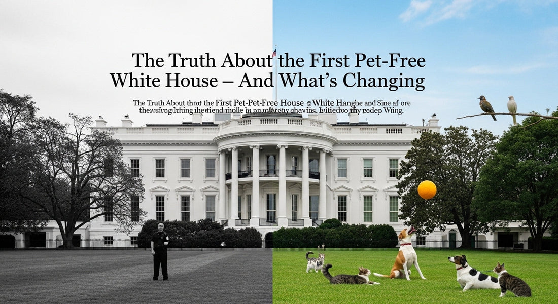 Does Trump Have a Dog? The Truth About the First Pet-Free White House — And What's Changing