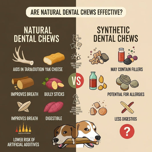 Are Natural Dental Chews Effective?