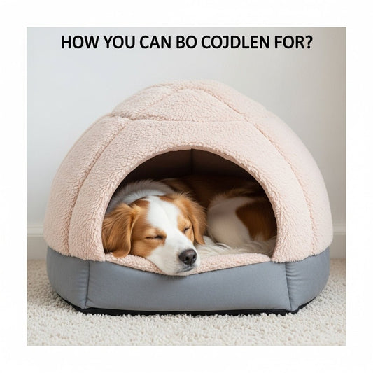 How Can You Create a Cozy Sleeping Space for Pets?