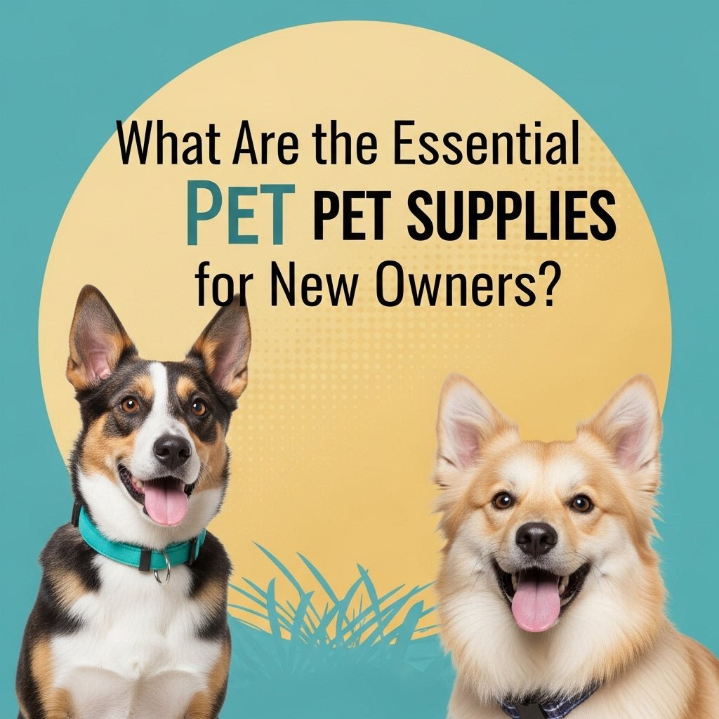What Are the Essential Pet Supplies for New Owners?