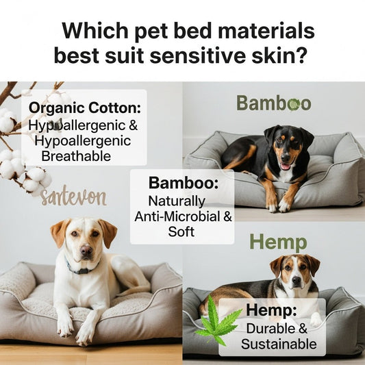 Which Pet Bed Materials Suit Sensitive Skin Best?