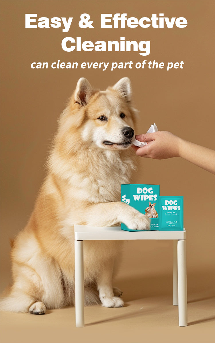 Multi-Purpose Pet Wipes for Dogs & Cats – 10 Individually Packed 7x7in Wipes, Deep Cleansing & Nourishing for Anytime, Anywhere Use