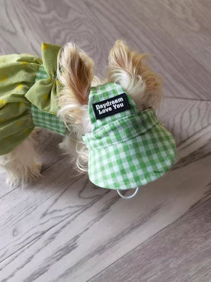 The Pet Hat Has A Leaky Ear