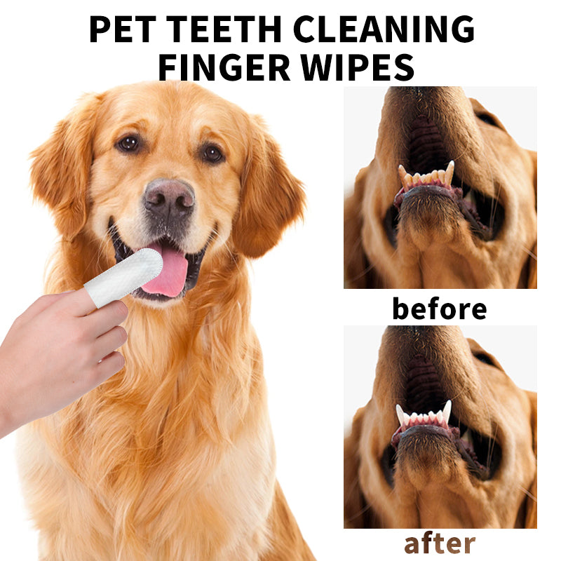 Pet Dental Finger Wipes for Dogs & Cats – 50 Pcs Teeth Cleaning Wipes with Tea Polyphenol, Unscented Tartar & Plaque Remover