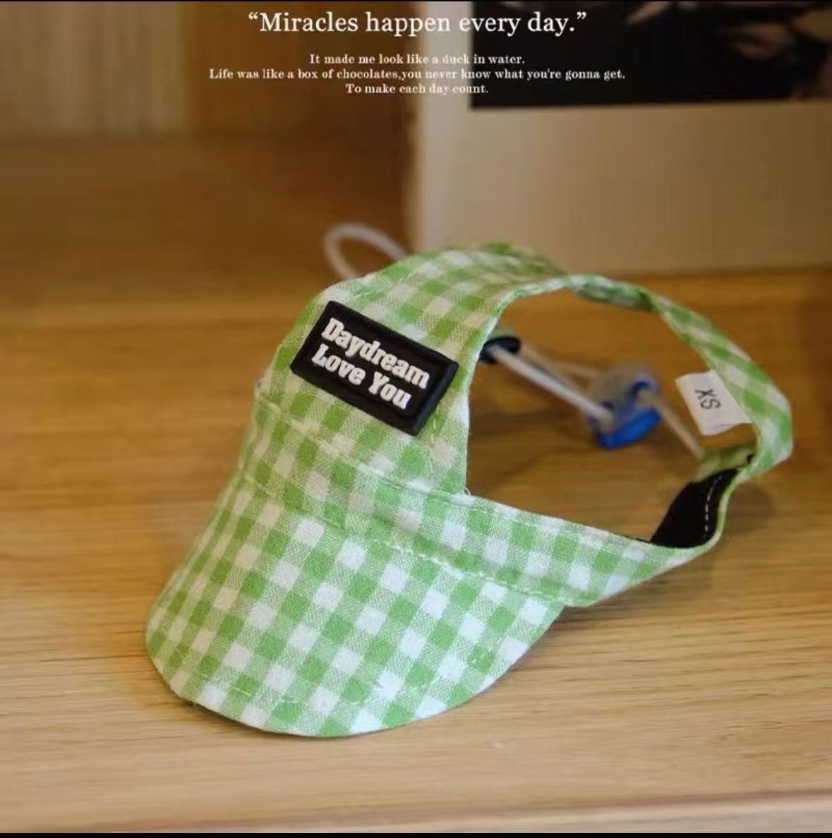 The Pet Hat Has A Leaky Ear