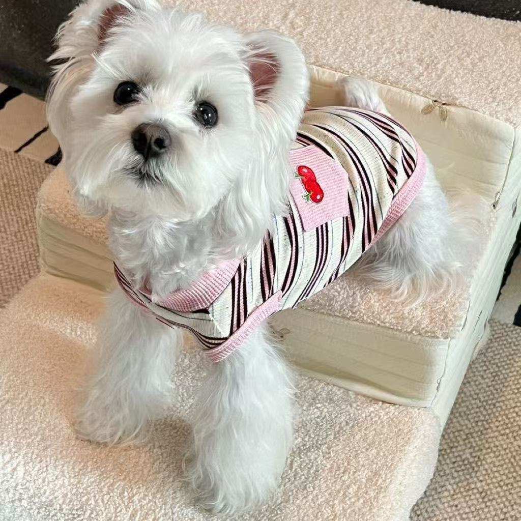 Striped vest, hairless cat clothes