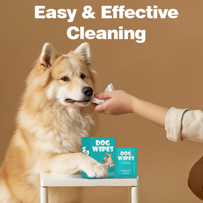Multi-Purpose Pet Wipes for Dogs & Cats – 10 Individually Packed 7x7in Wipes, Deep Cleansing & Nourishing for Anytime, Anywhere Use