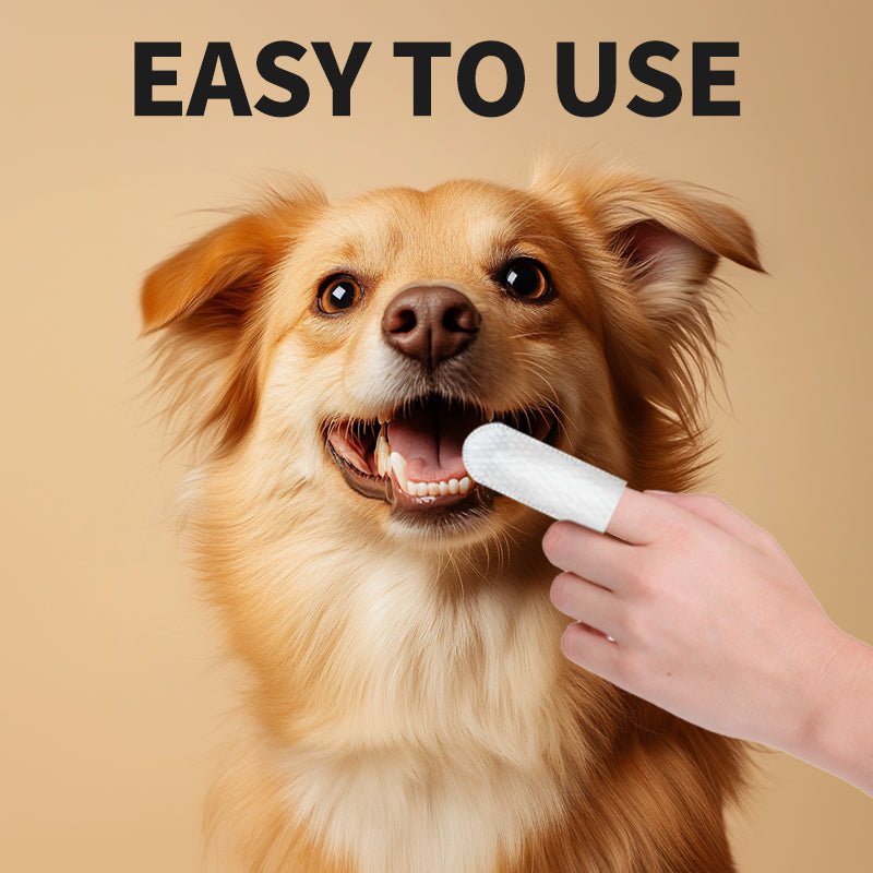 Pet Dental Finger Wipes for Dogs & Cats – 50 Pcs Teeth Cleaning Wipes with Tea Polyphenol, Unscented Tartar & Plaque Remover