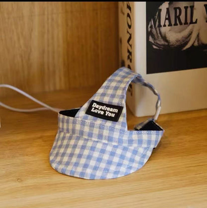 The Pet Hat Has A Leaky Ear