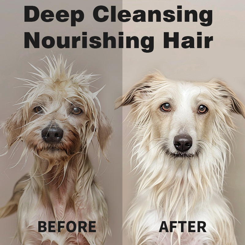 Multi-Purpose Pet Wipes for Dogs & Cats – 10 Individually Packed 7x7in Wipes, Deep Cleansing & Nourishing for Anytime, Anywhere Use