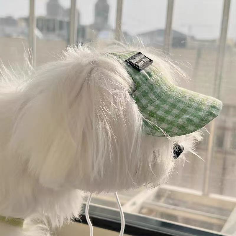 The Pet Hat Has A Leaky Ear