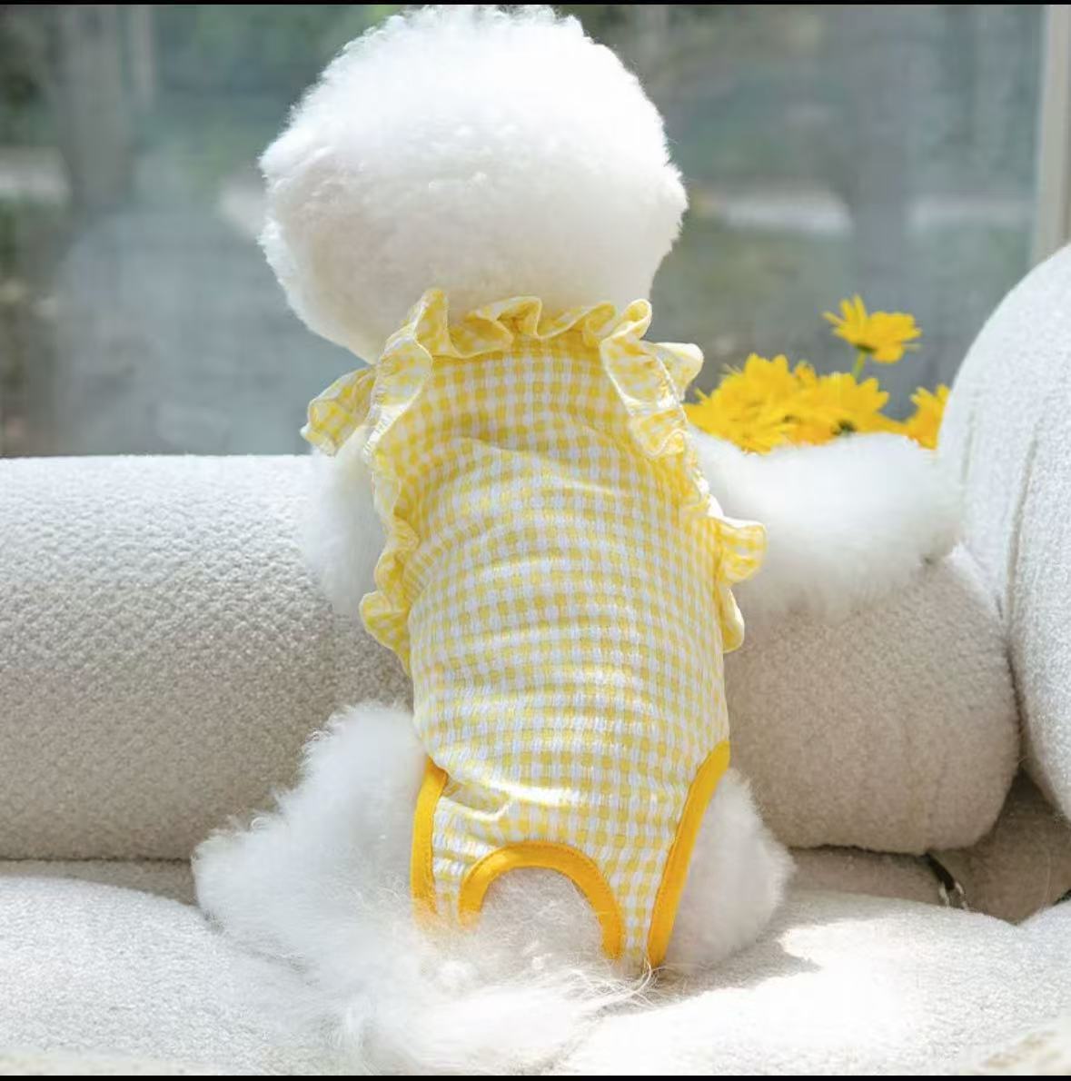 Dog Anti-harassment Physiological Pants