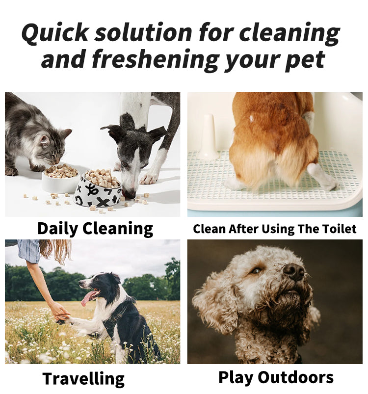Ultra Thick Pet Wipes for Dogs & Cats – Hypoallergenic, Grape Seed Oil Infused, Alcohol-Free & Fragrance-Free