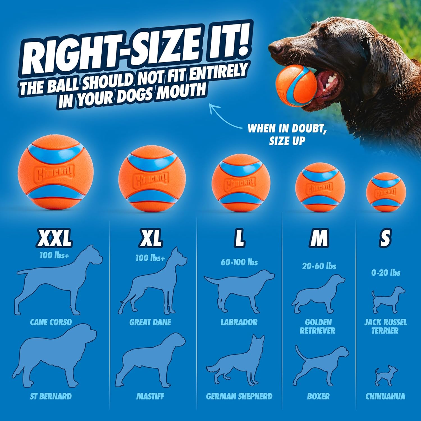 ChuckIt! Ultra Ball Dog Toy, Durable High Bounce Floating Rubber Dog Ball, Launcher Compatible Toy For Dogs, 1 Pack, Large