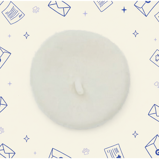 Painter's hat, dog photo headwear