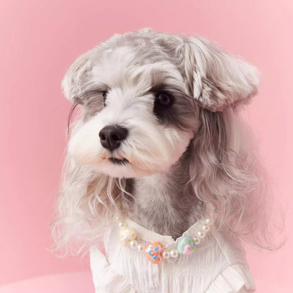 Dog Necklace Accessories