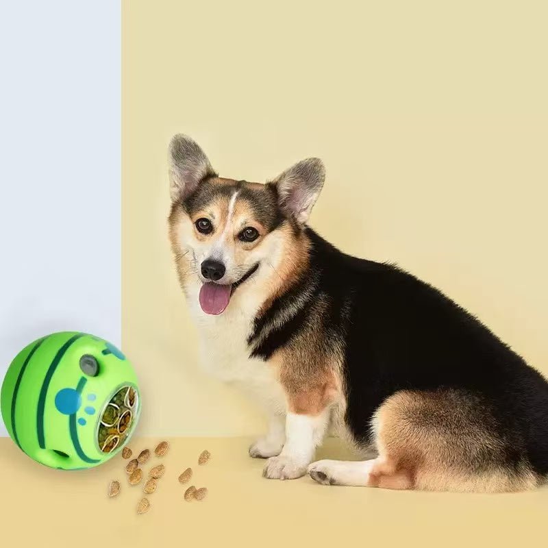 Interactive Rubber Green Ball Dog Toy