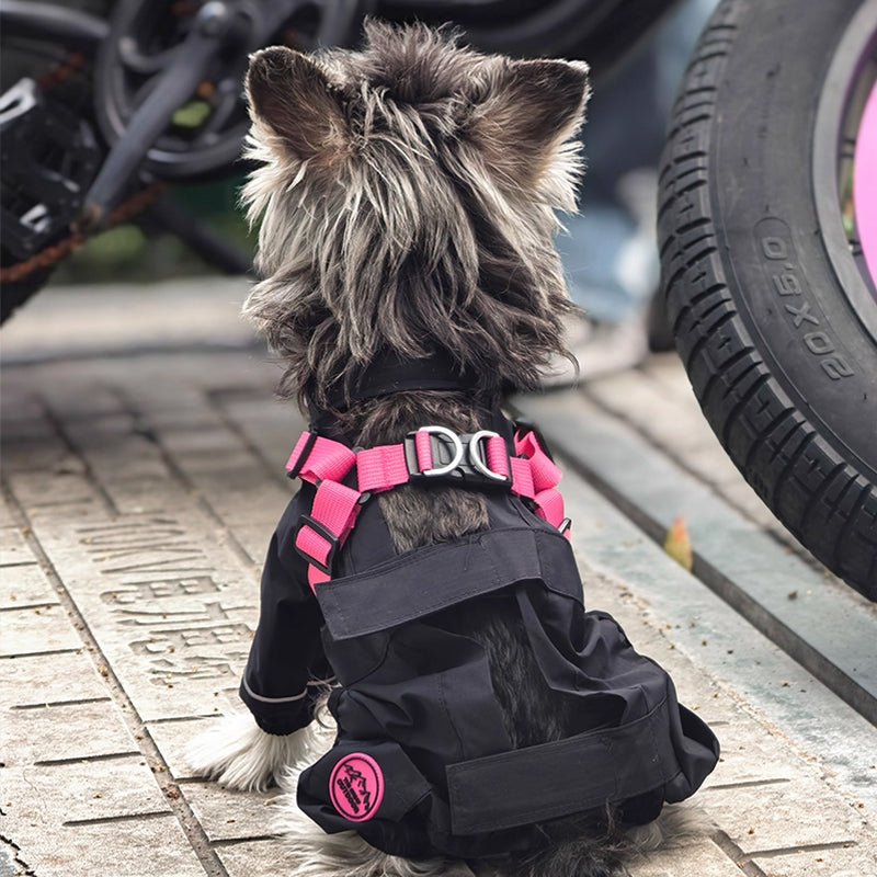 Outdoor Anti-dirt Dog Clothes