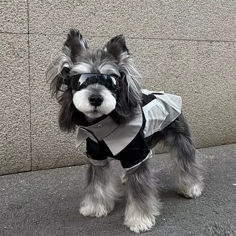 Pet Sunglasses
