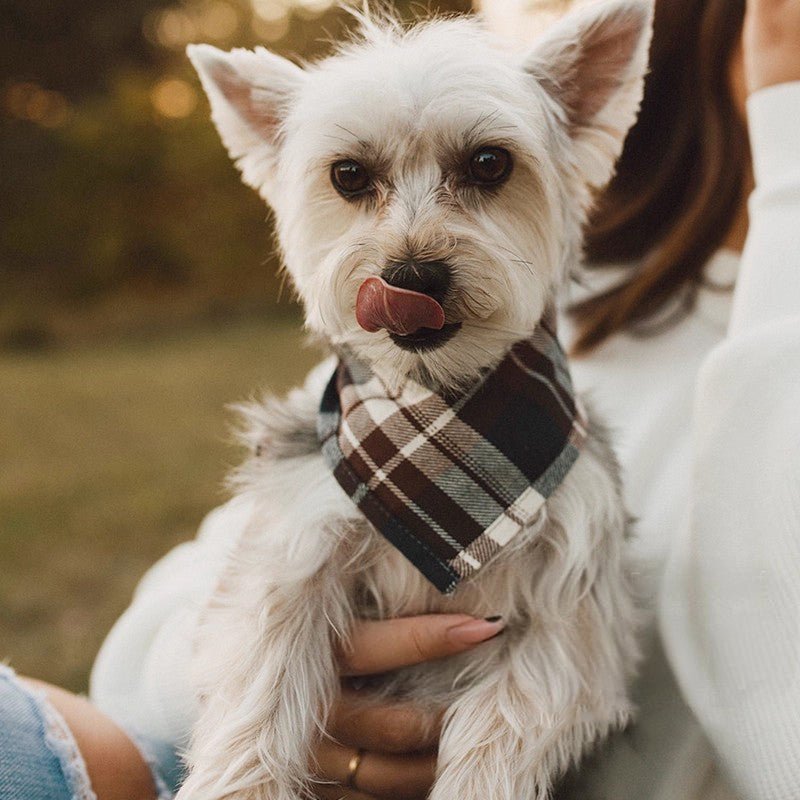 Pet Triangle Towel Drool Towel