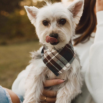 Pet Triangle Towel Drool Towel