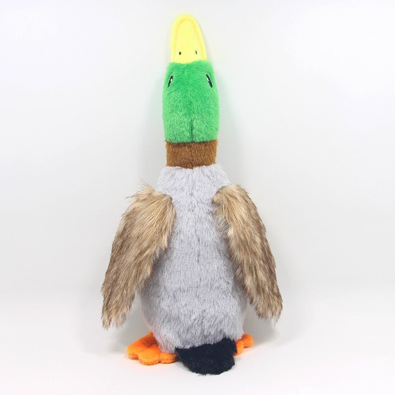 Squeaky Duck Pet Toy 28cm Realistic Plush Wild Duck for Dogs Interactive Chew Toy